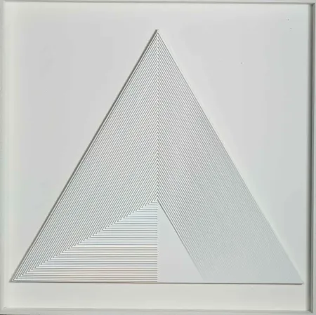 Geen Techniek Biasi - POLITIPO TRIANGOLARE