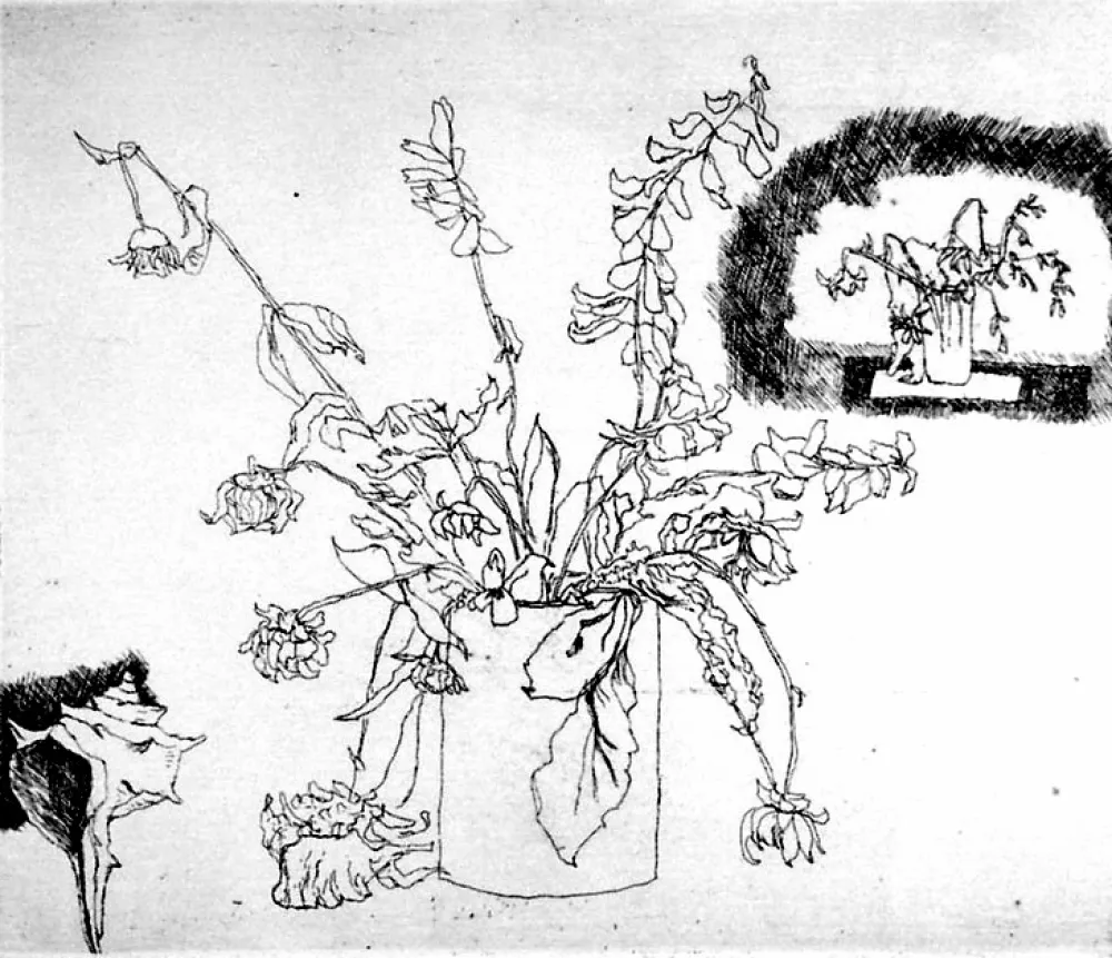 Ets Biasion - Fiori secchi e conchiglia