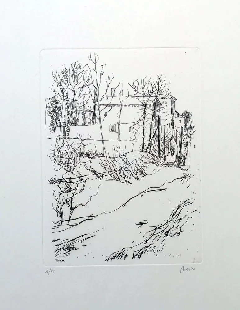 Ets Biasion - Paesaggio