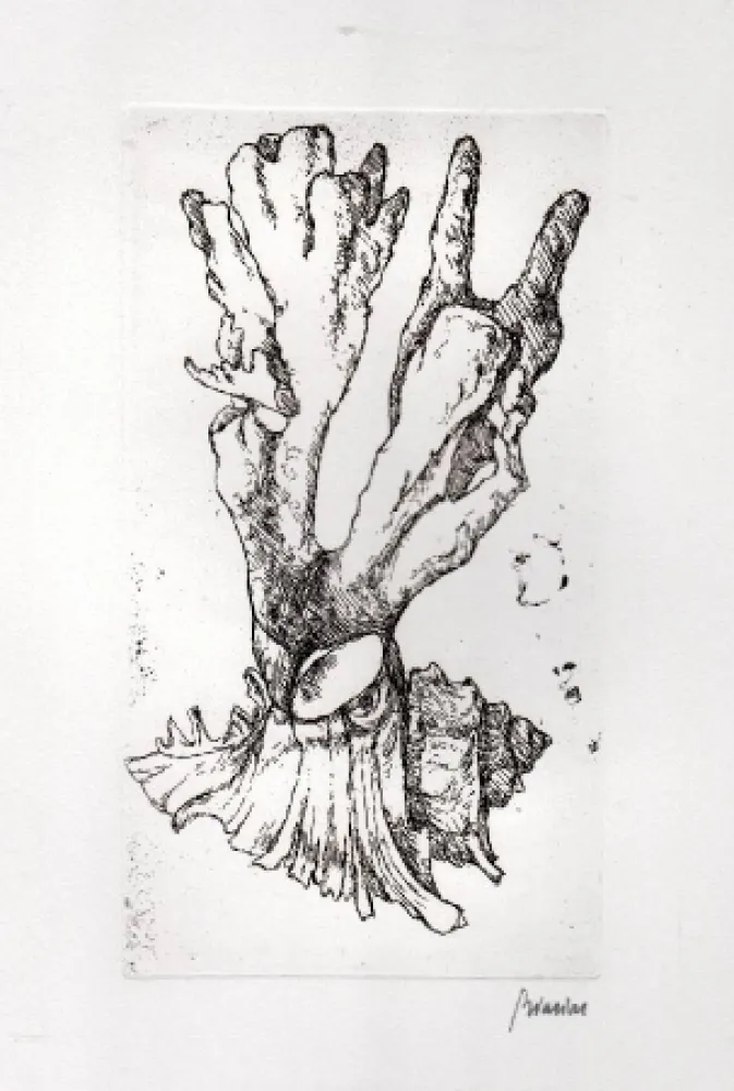 Geïllustreerd Boek Biasion - Venezia lontana