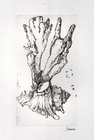 Geïllustreerd Boek Biasion - Venezia lontana