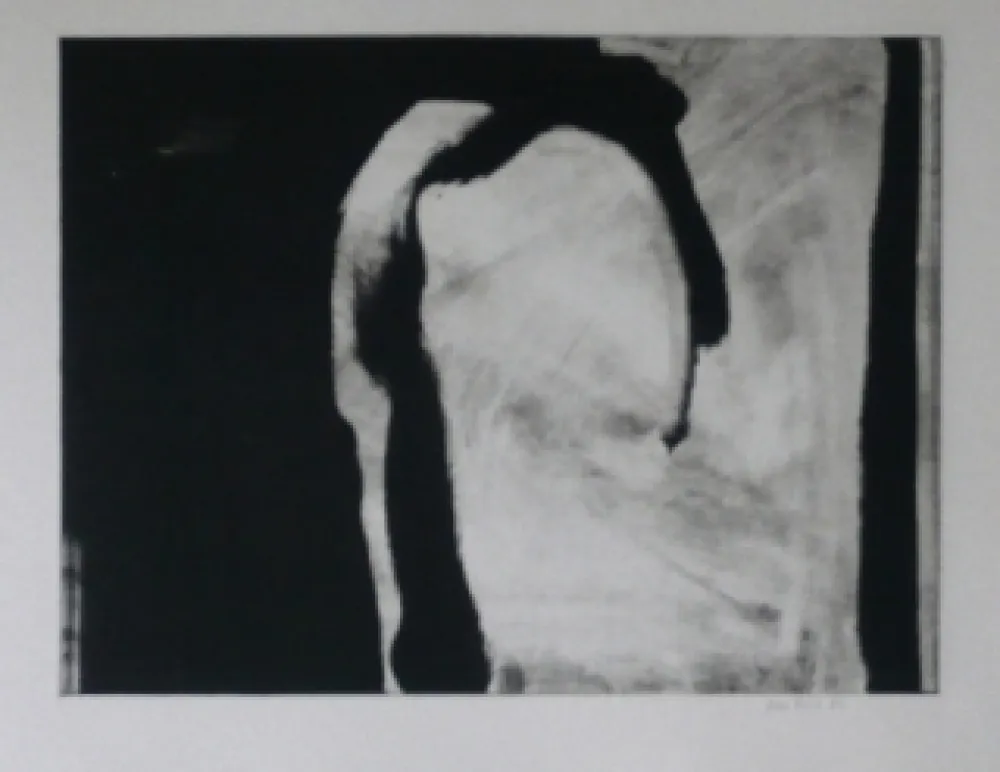 Ets En Aquatint Bird - Abstract 1