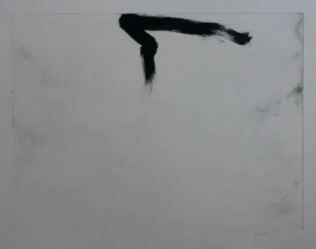 Ets En Aquatint Bird - Abstract 11