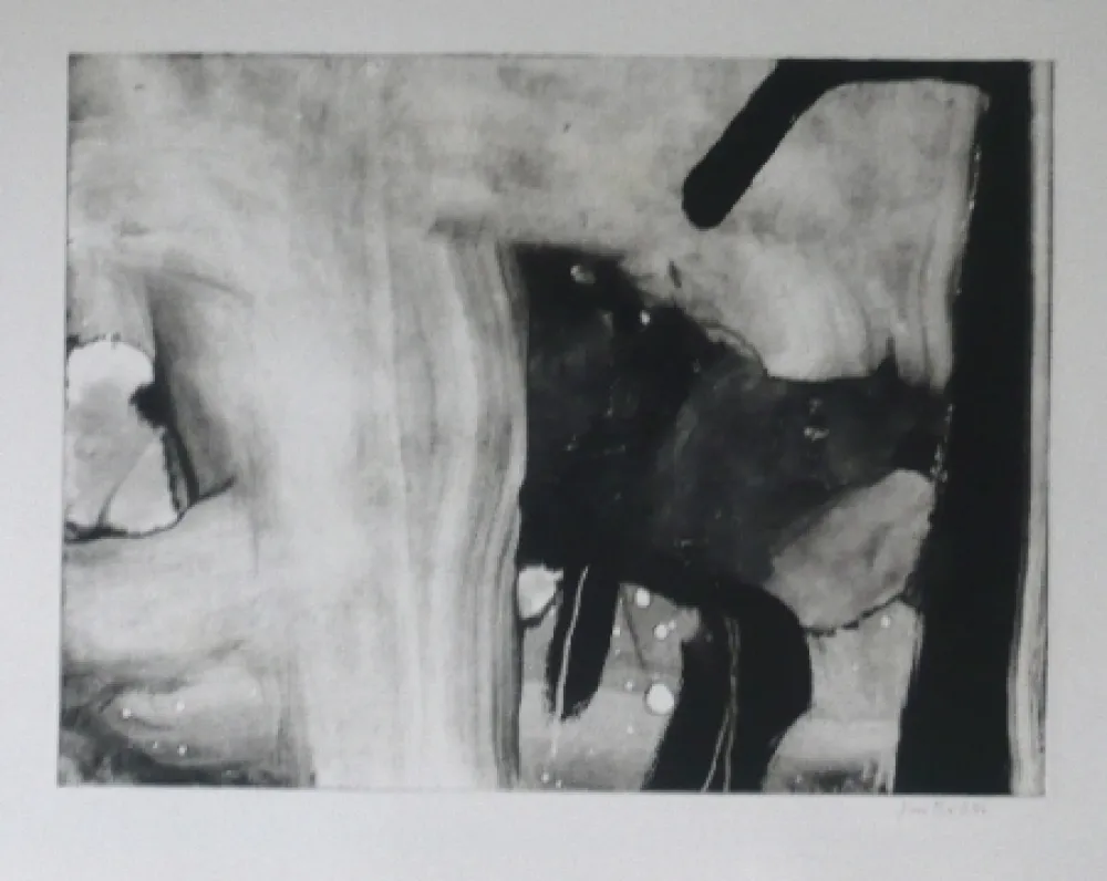 Ets En Aquatint Bird - Abstract 4