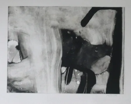 Ets En Aquatint Bird - Abstract 4