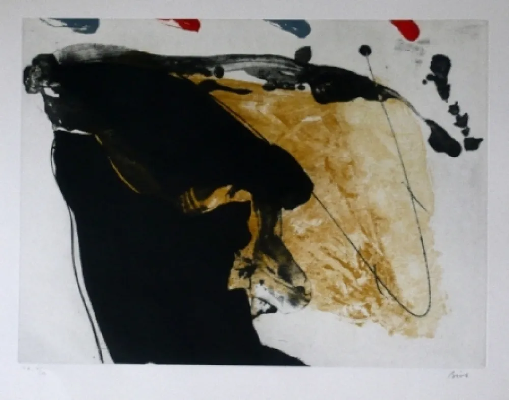 Ets En Aquatint Bird - Abstract 7