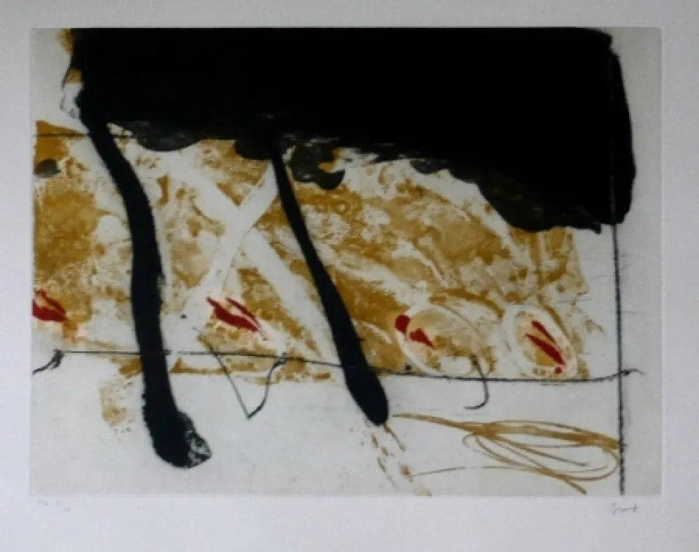 Ets En Aquatint Bird - Abstract 8