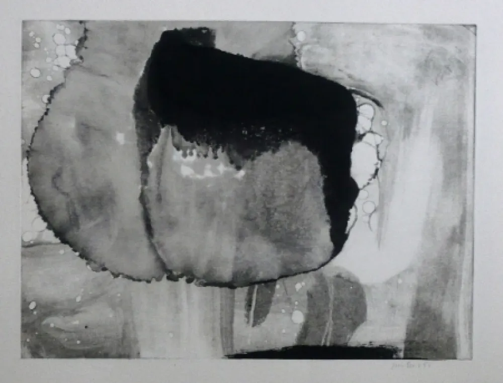 Ets En Aquatint Bird - Abstract 9