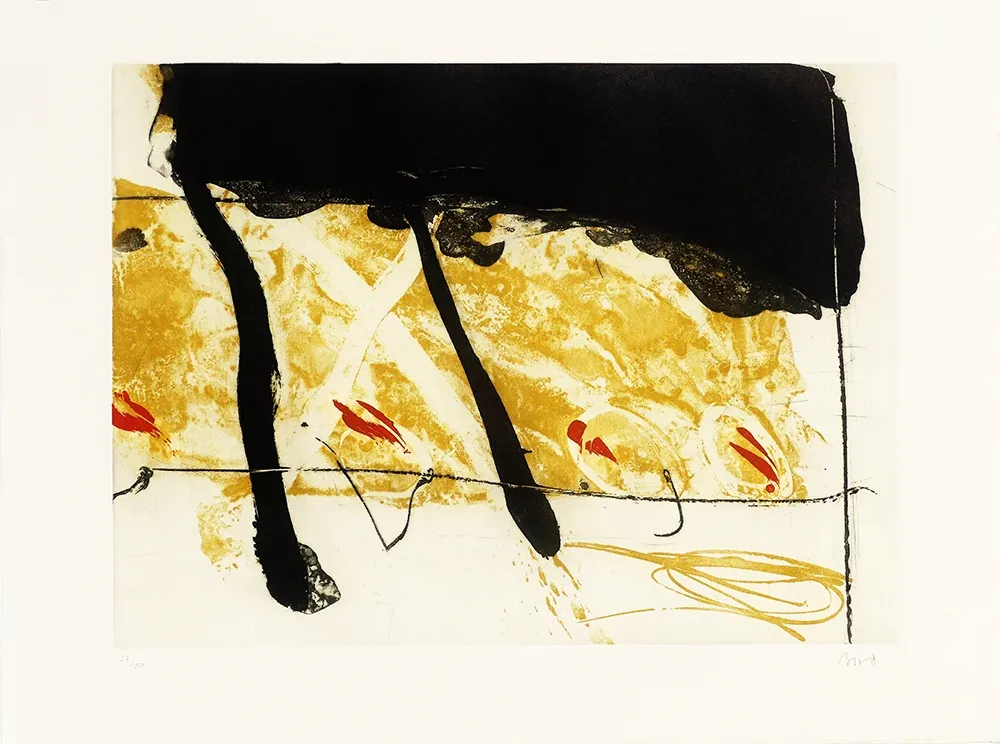 Ets En Aquatint Bird - Coach of black  water