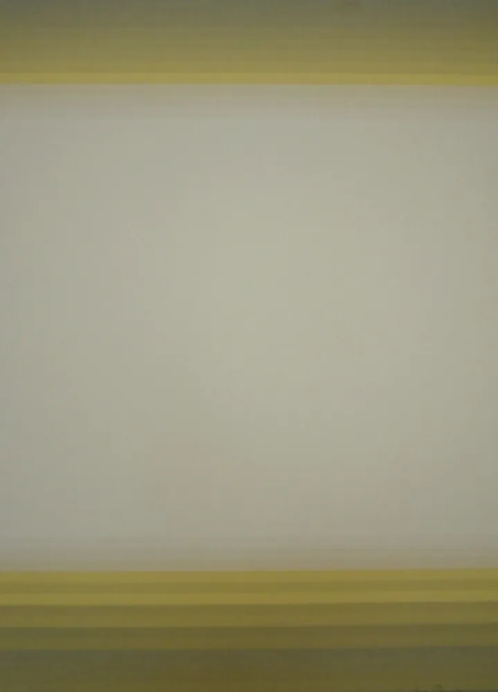 Lithografie Bird - J.B.I. - 10