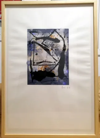 Geen Techniek Bird - Serie Verano Alpera