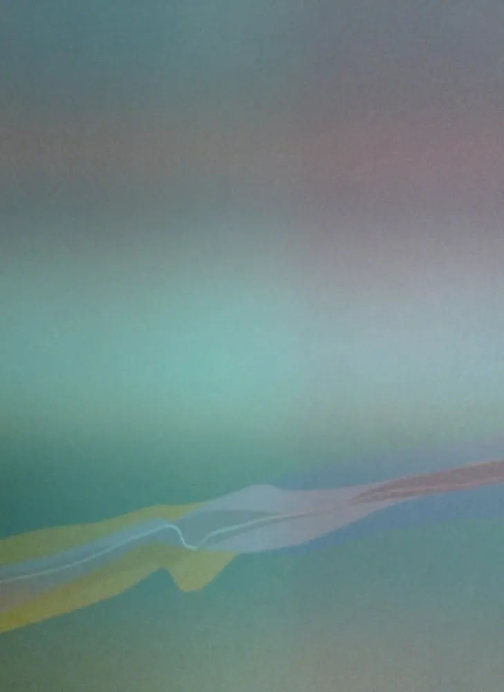 Lithografie Bird - Spectre lumière 4