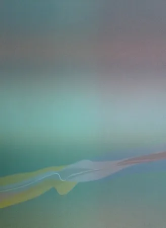 Lithografie Bird - Spectre lumière 4