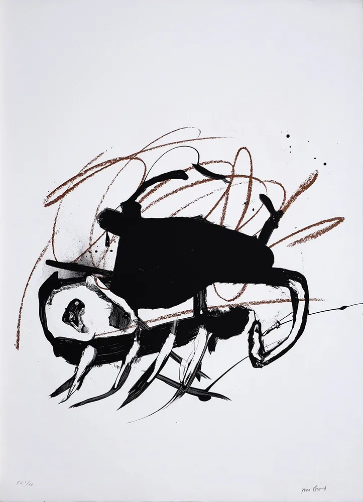 Lithografie Bird - S/T