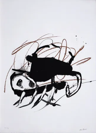 Lithografie Bird - S/T