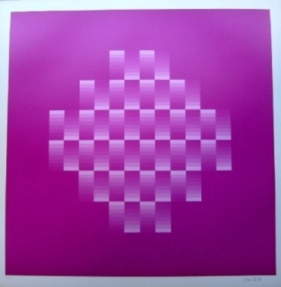 Lithografie Bird - Tribute to vasarely 10