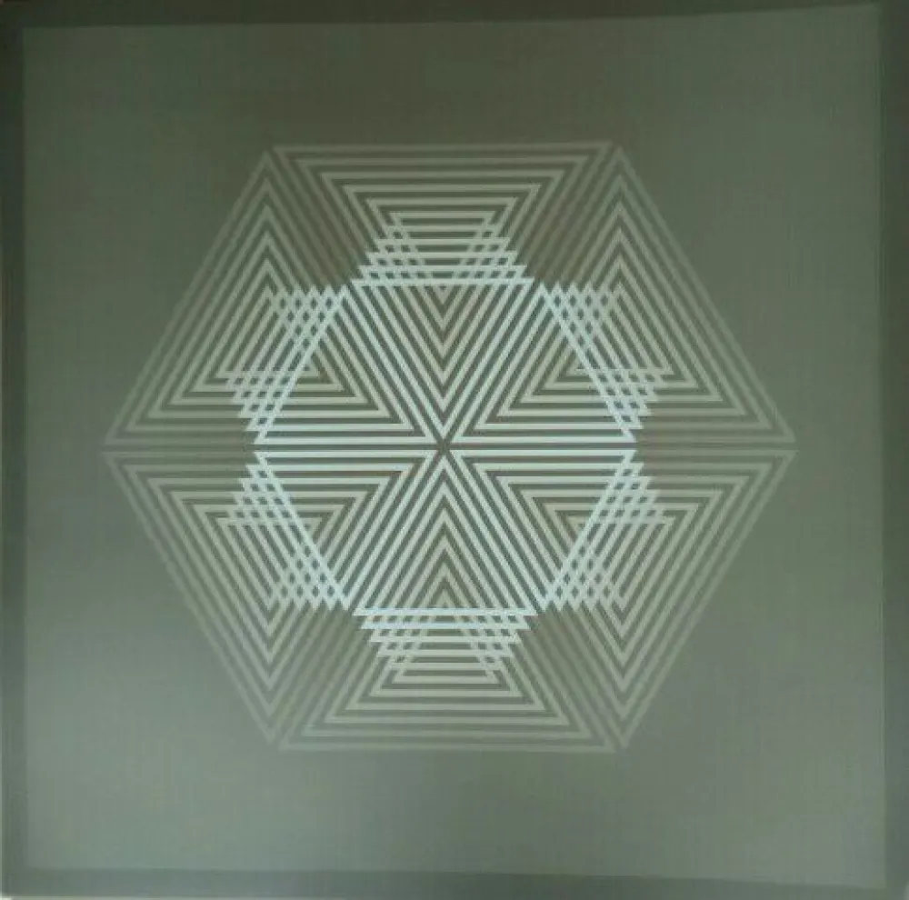 Lithografie Bird - Tribute to Vasarely 12