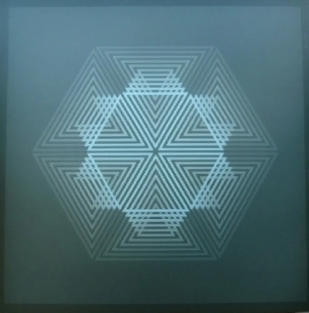 Lithografie Bird - Tribute to vasarely 12