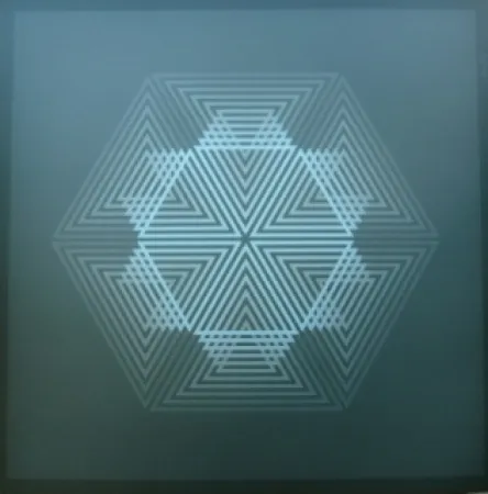 Lithografie Bird - Tribute to vasarely 12