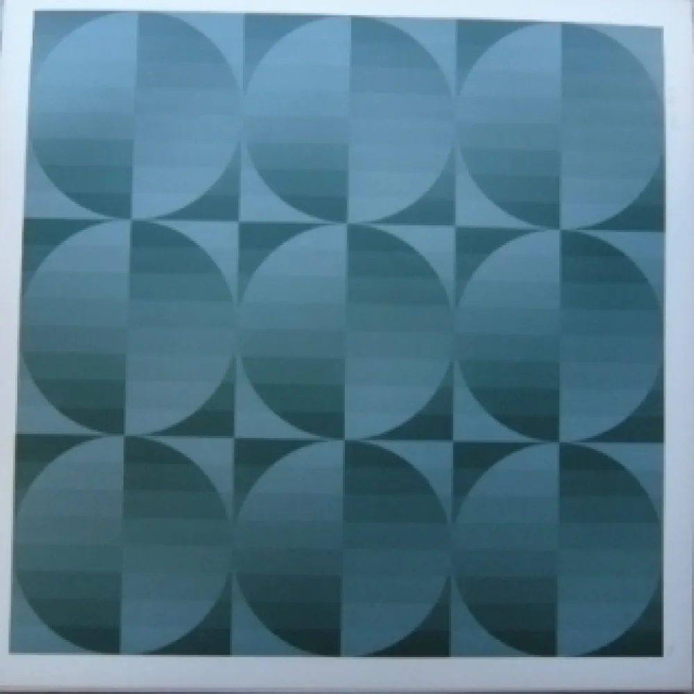 Lithografie Bird - Tribute to Vasarely 4