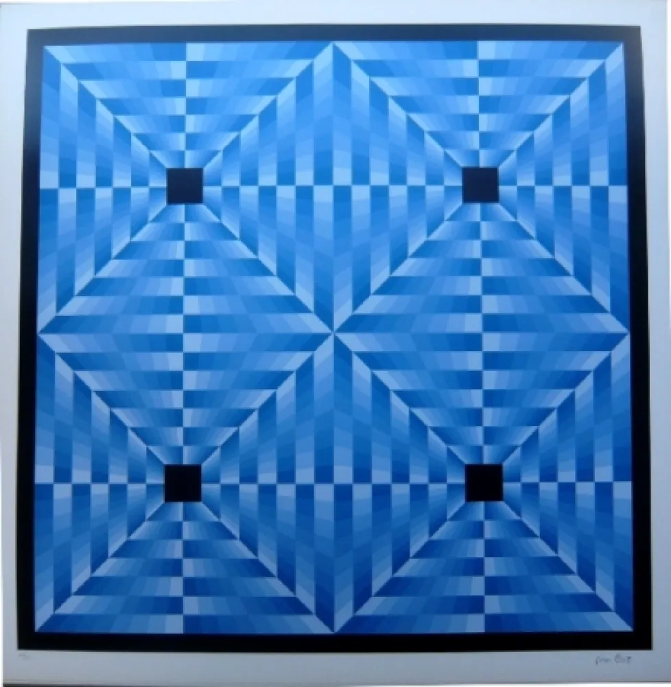 Lithografie Bird - Tribute to Vasarely 6