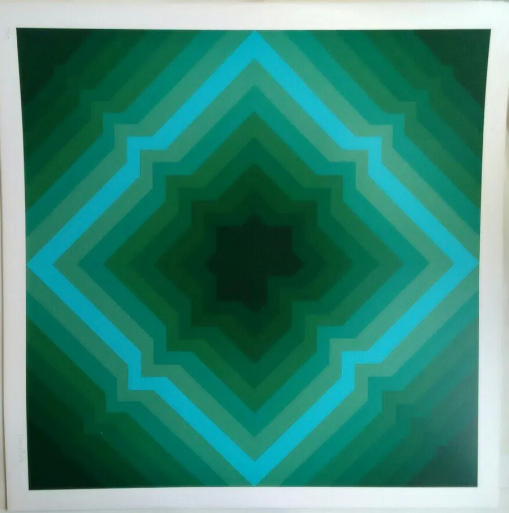 Lithografie Bird - Tribute to Vasarely 8