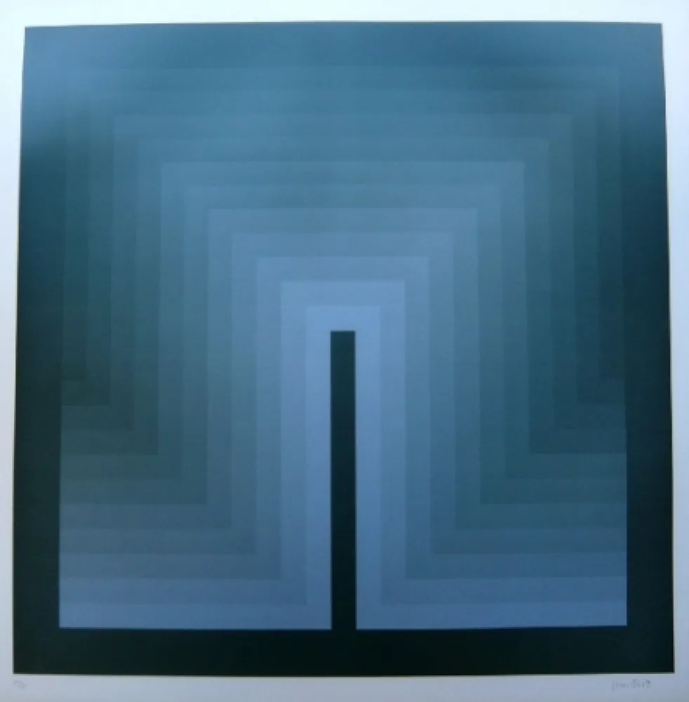 Lithografie Bird - Tribute to vasarely 9