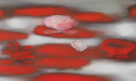 Geen Techniek Bleckner - Floating Red