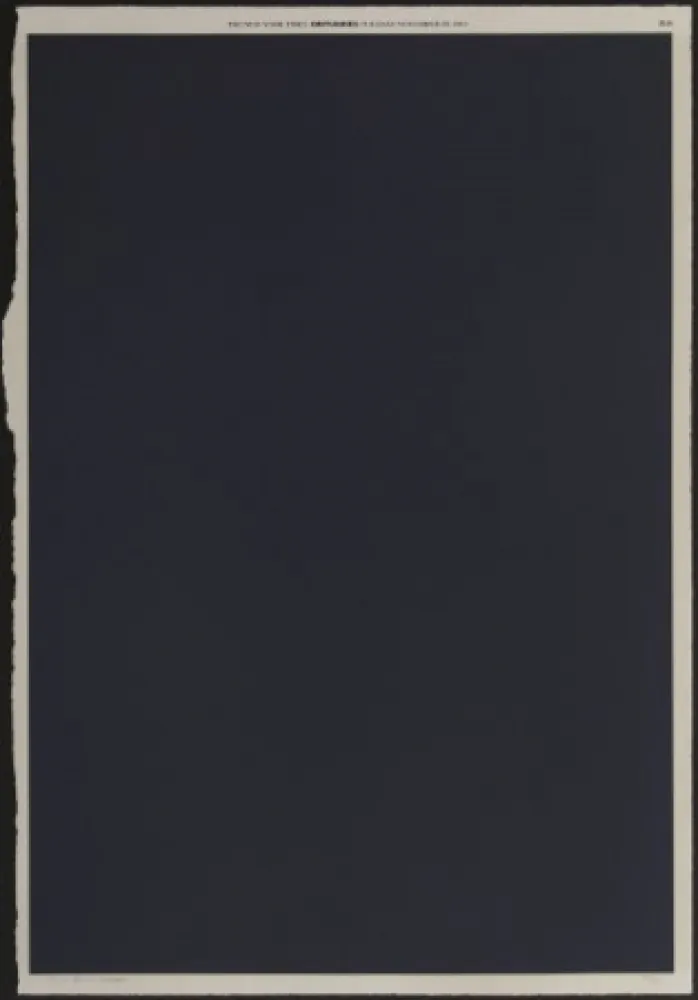 Lithografie Bleckner - November 29th