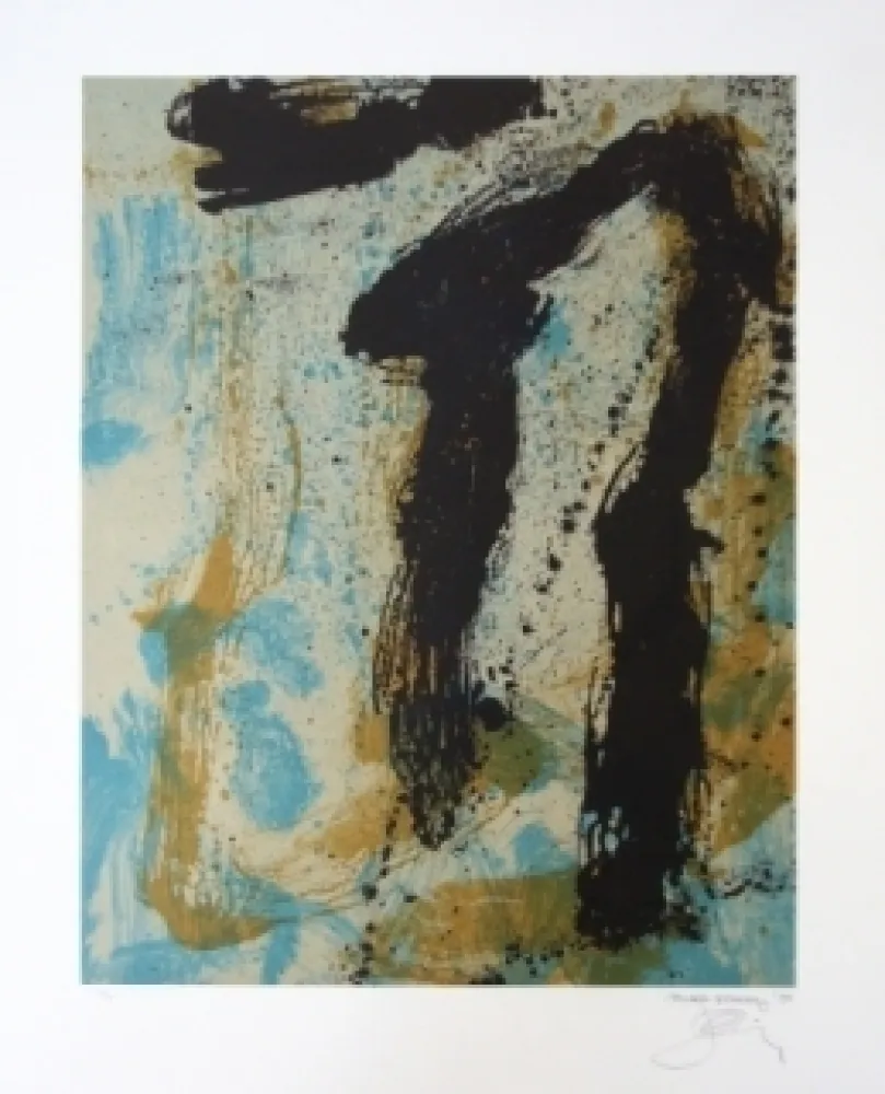 Lithografie Bohary - Water fall river