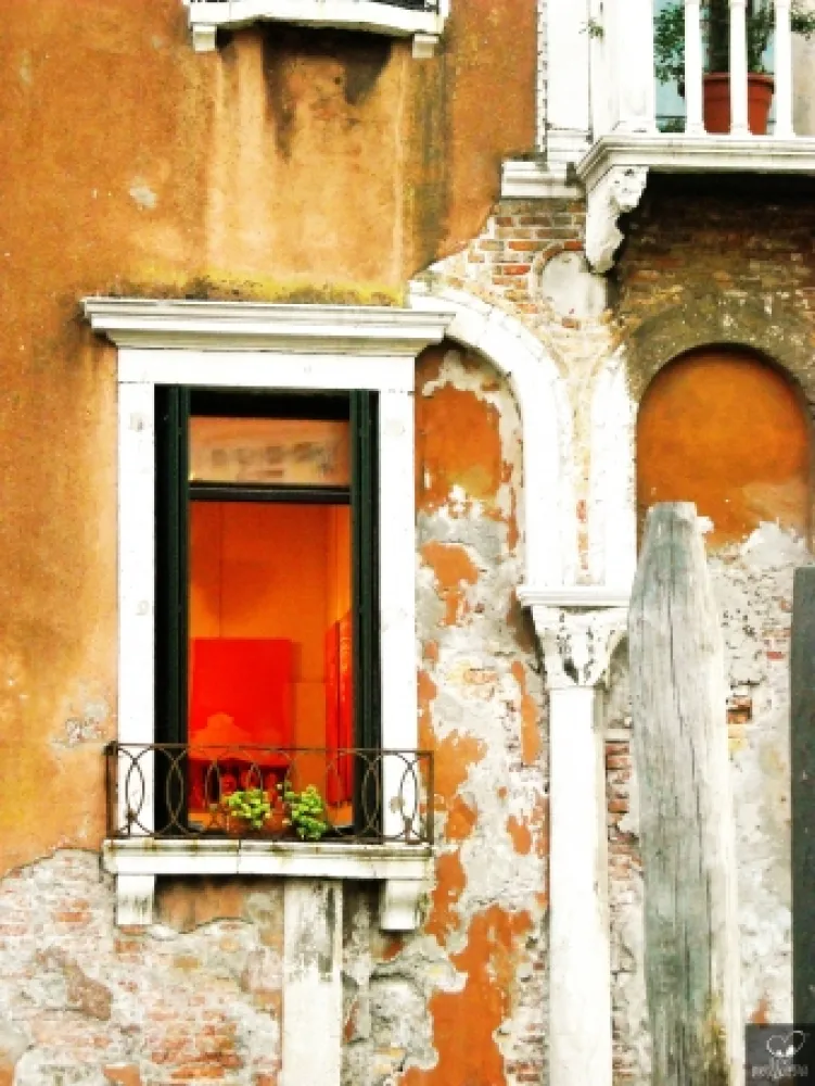 Fotografie Bohorquez - Arco