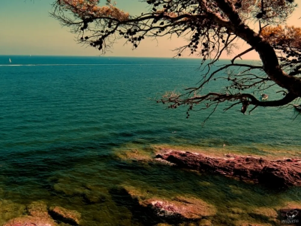 Fotografie Bohorquez - Bleu