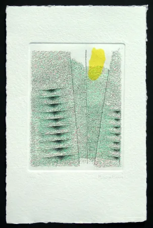 Ets En Aquatint Bonalumi - Senza titolo