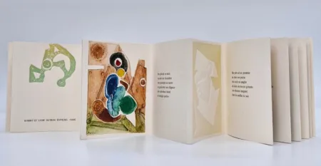 Geïllustreerd Boek Boni - Transfert