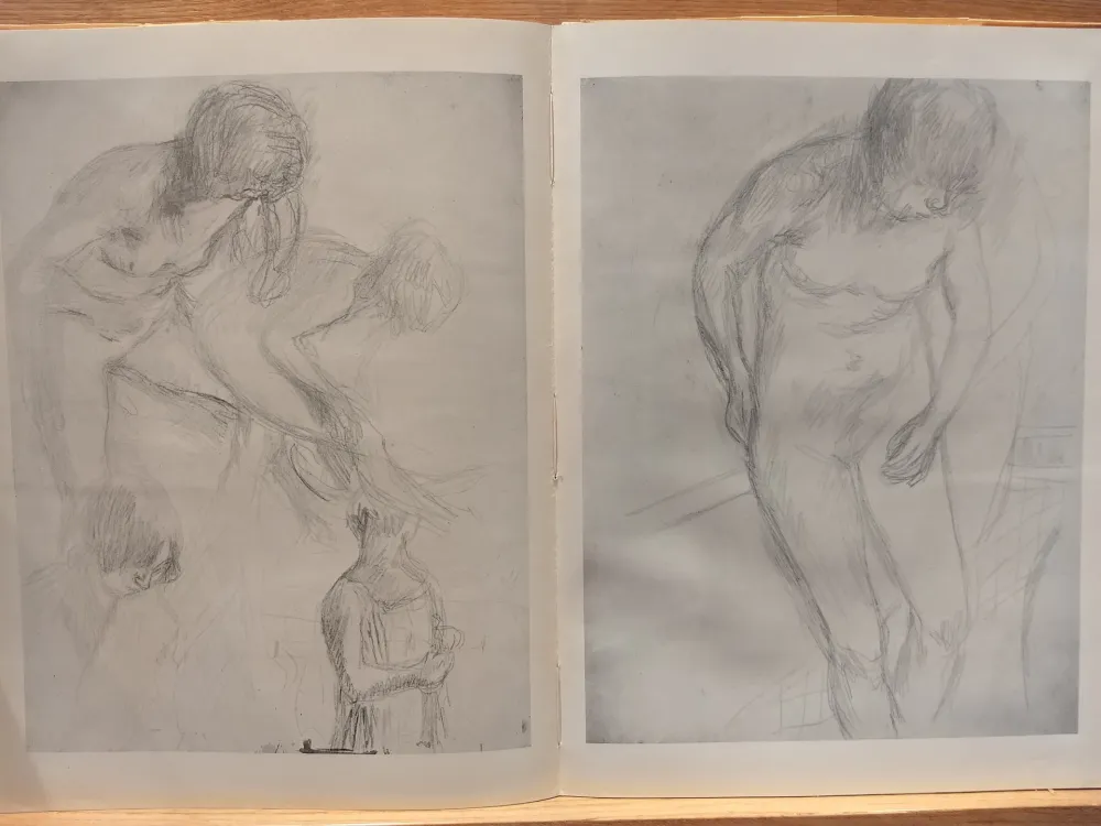 Geïllustreerd Boek Bonnard - Couleur De Bonnard