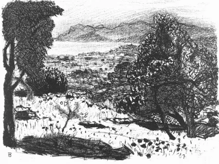 Lithografie Bonnard - Paisage du midi