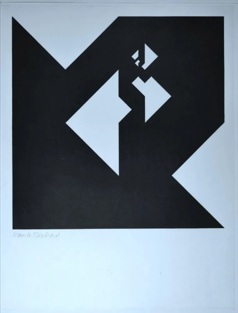 Houtsnede Bosshard - 1961 zwölf variationen über ein würfelthema - 1962 zwölf typografische konstellationen.