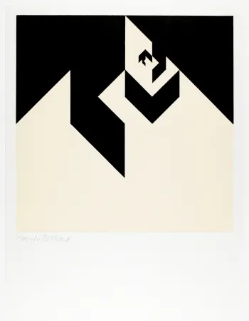 Houtsnede Bosshard - Variation 6