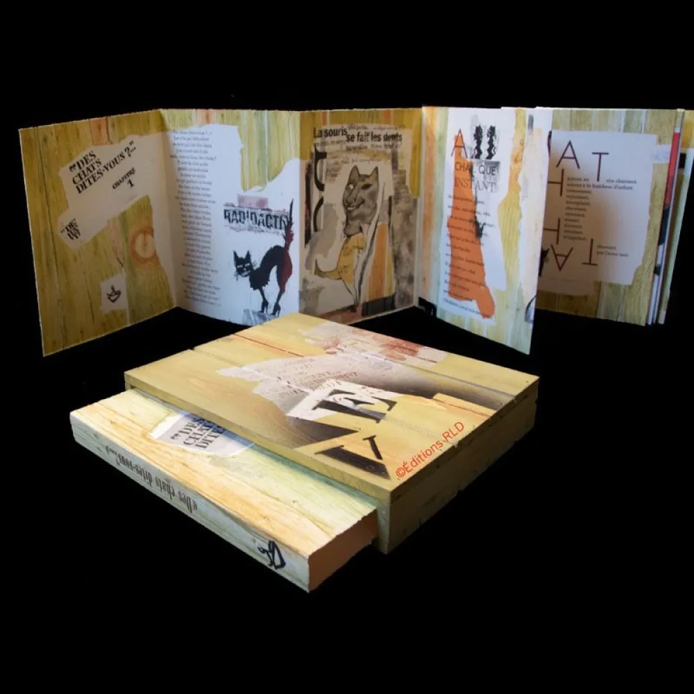 Geïllustreerd Boek Botti  - Des chats dites-vous ?