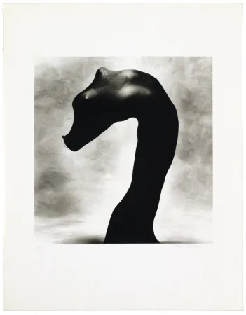 Lithografie Bouvier - Nus noirs 3