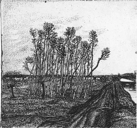 Ets Bozzetti - Il boschetto lungo l'argine (II versione)