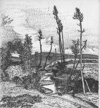 Ets Bozzetti - Il torrente