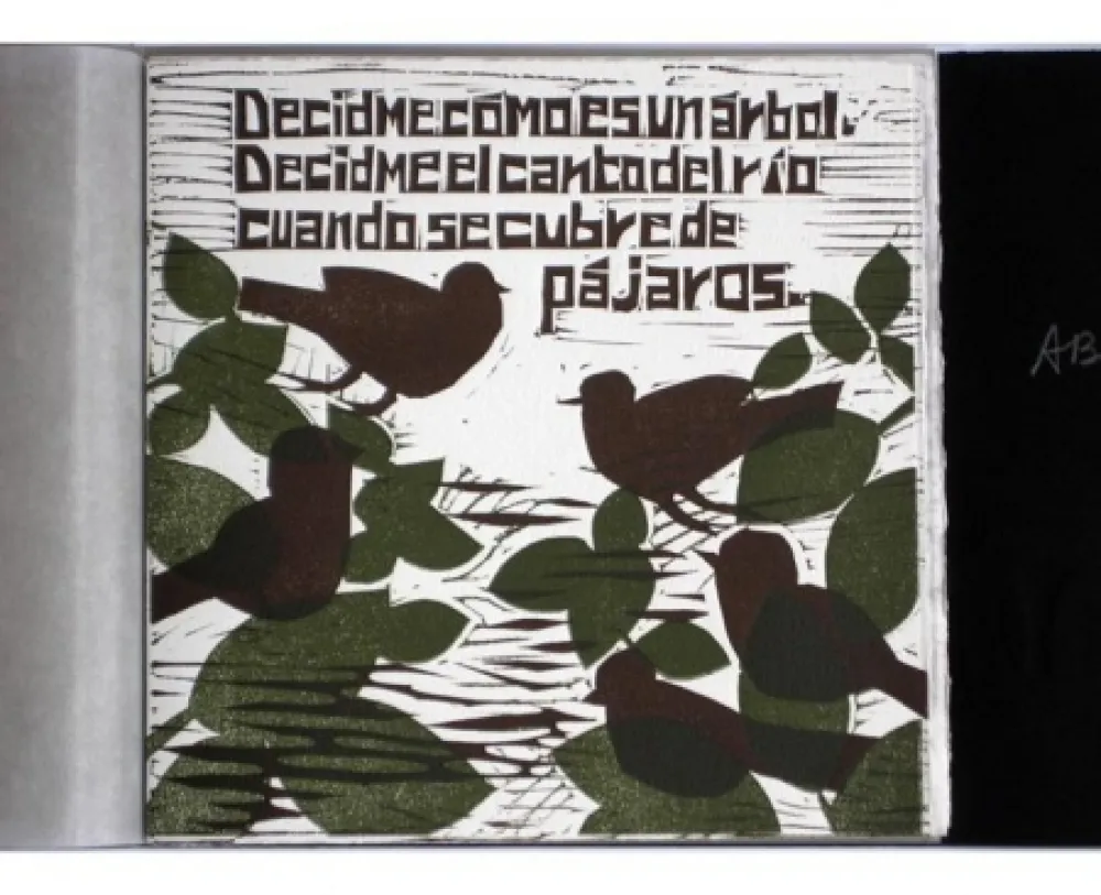 Geïllustreerd Boek Brancaforte - Decidme cómo es un árbol