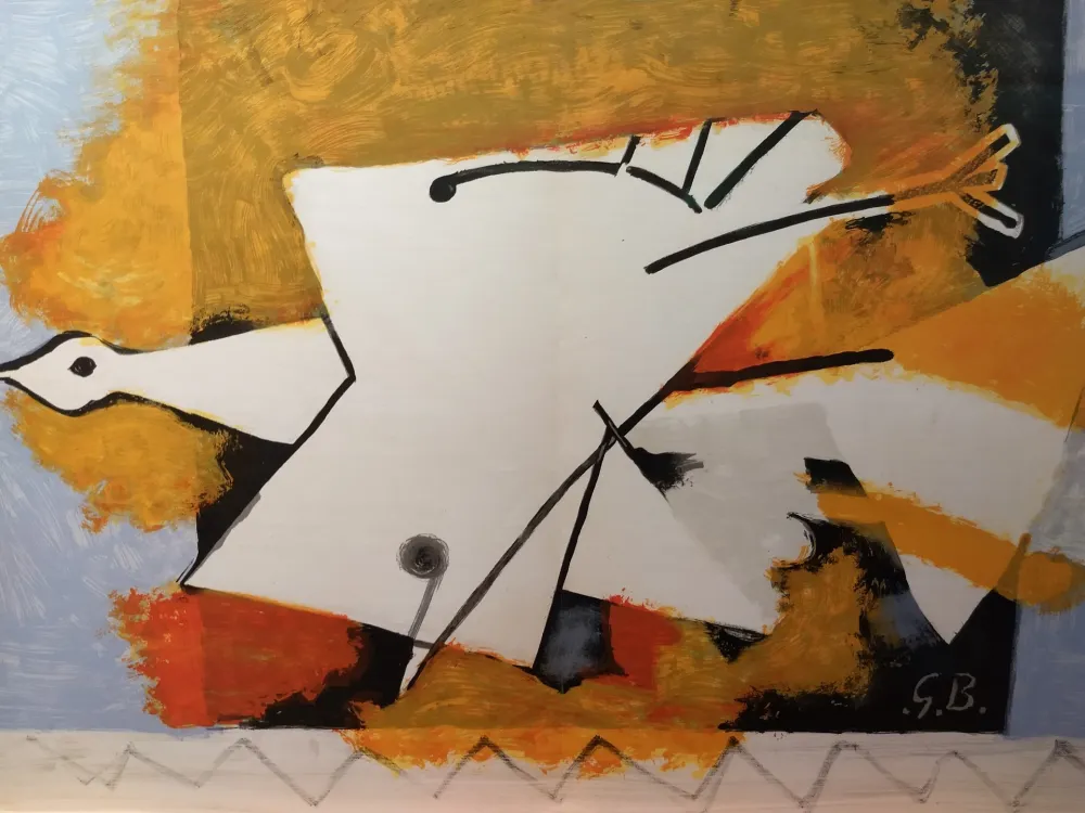 Geïllustreerd Boek Braque - DLM 115