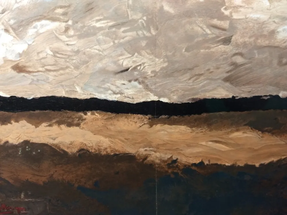 Geïllustreerd Boek Braque - DLM 136-136