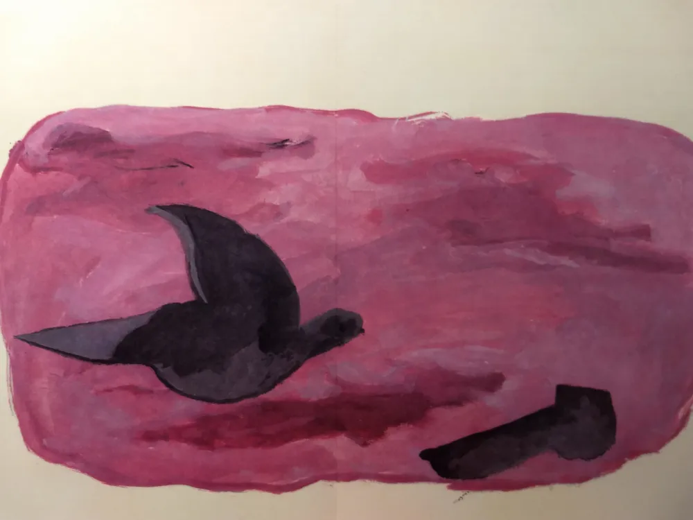 Geïllustreerd Boek Braque - DLM 166