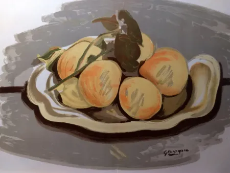 Geïllustreerd Boek Braque - DLM 48-49