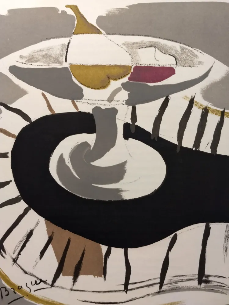 Geïllustreerd Boek Braque - DLM Bound