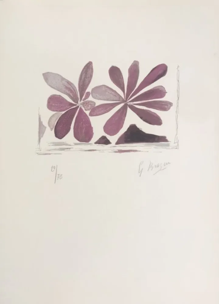 Lithografie Braque - Fleurs de l'air 
