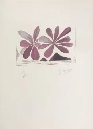 Lithografie Braque - Fleurs de l'air 